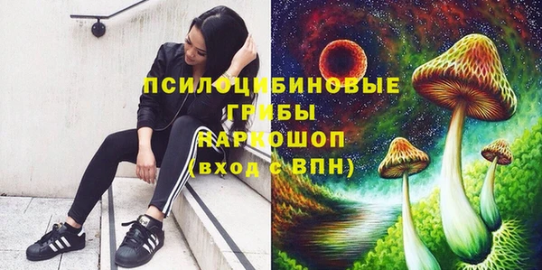 дмт Абинск