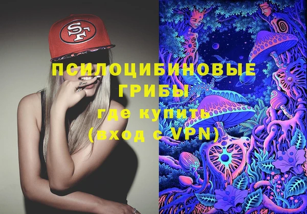 ПСИЛОЦИБИНОВЫЕ ГРИБЫ Абаза