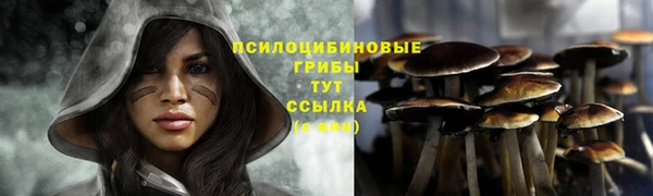 ПСИЛОЦИБИНОВЫЕ ГРИБЫ Абаза