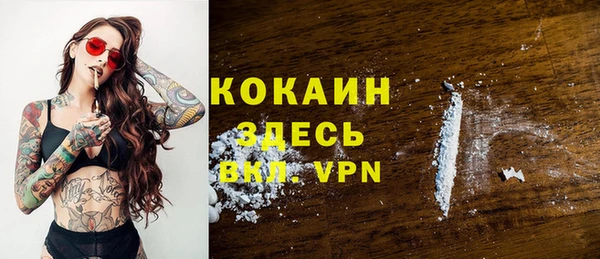 ПСИЛОЦИБИНОВЫЕ ГРИБЫ Абаза