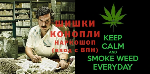 дмт Абинск