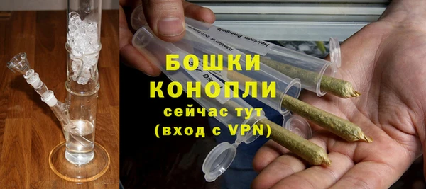 ПСИЛОЦИБИНОВЫЕ ГРИБЫ Абаза