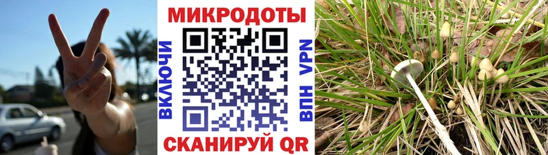 Галлюциногенные грибы MAGIC MUSHROOMS  Новоуральск 