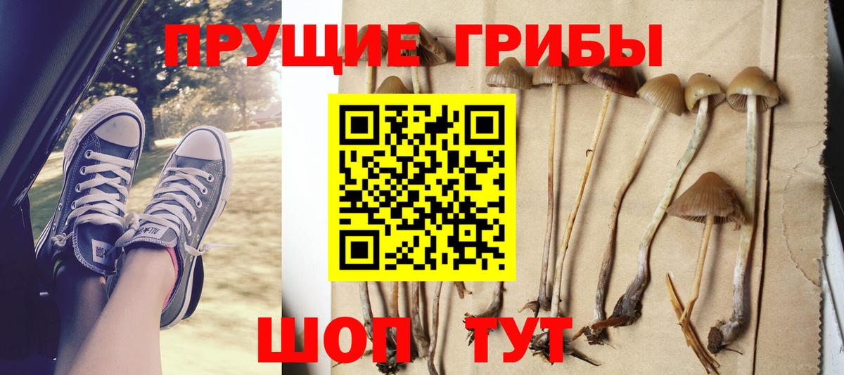 Галлюциногенные грибы Psilocybe  Галлюциногенные грибы GOLDEN TEACHER  Вход с VPN  Новоуральск 